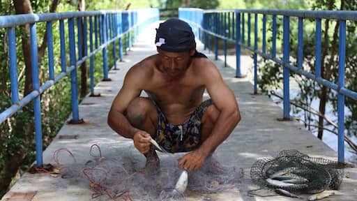 Fisherman harvest in Thailand