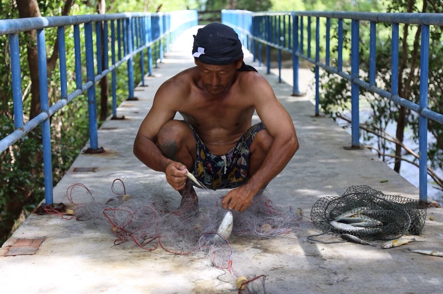 Fisherman harvest in Thailand
