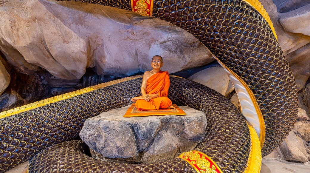 Phanat Nikhom District, Chon Buri / Thailand / February 16, 2020 : Wat Luang Phi Saem. So beautiful and peaceful, the temple is clean and comfortable to walk around. It doesn’t look so commercial..