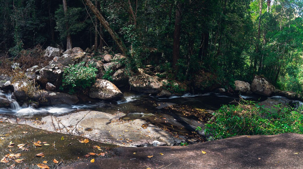 Travel concept of Khao Chamao Waterfall National Park love nature