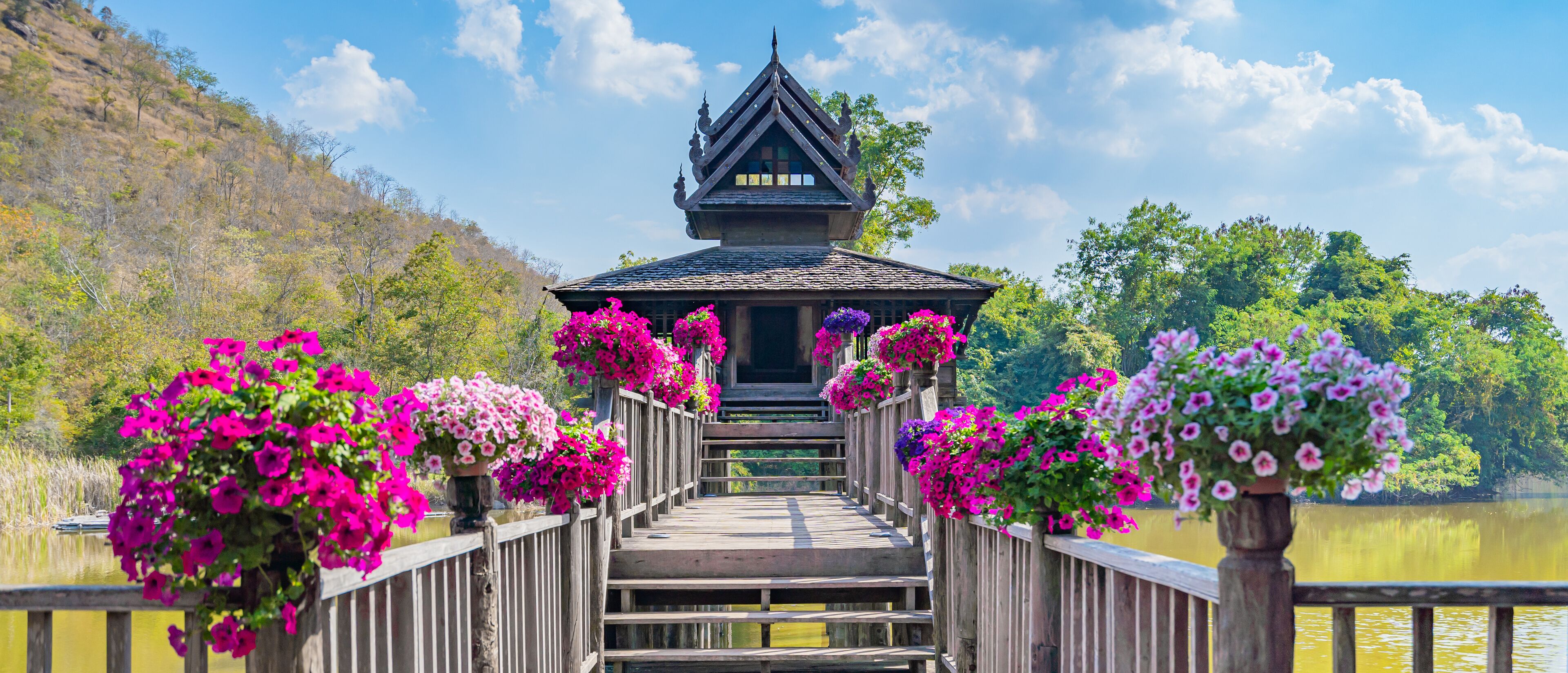 A wooden bridge leading to a traditional temple with a steep roof, surrounded by vibrant pink flowers and a calm lake.