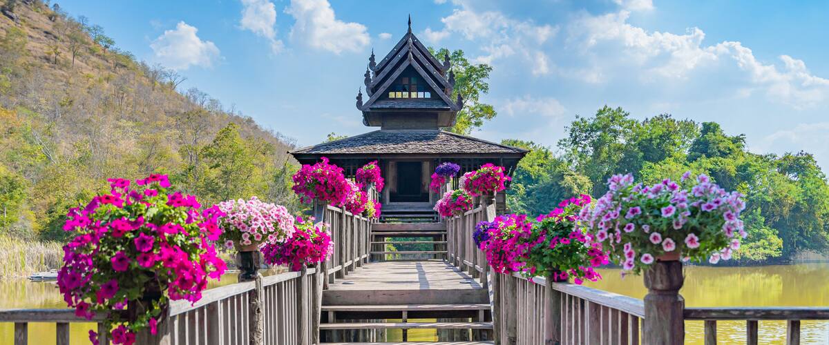 A wooden bridge leading to a traditional temple with a steep roof, surrounded by vibrant pink flowers and a calm lake.