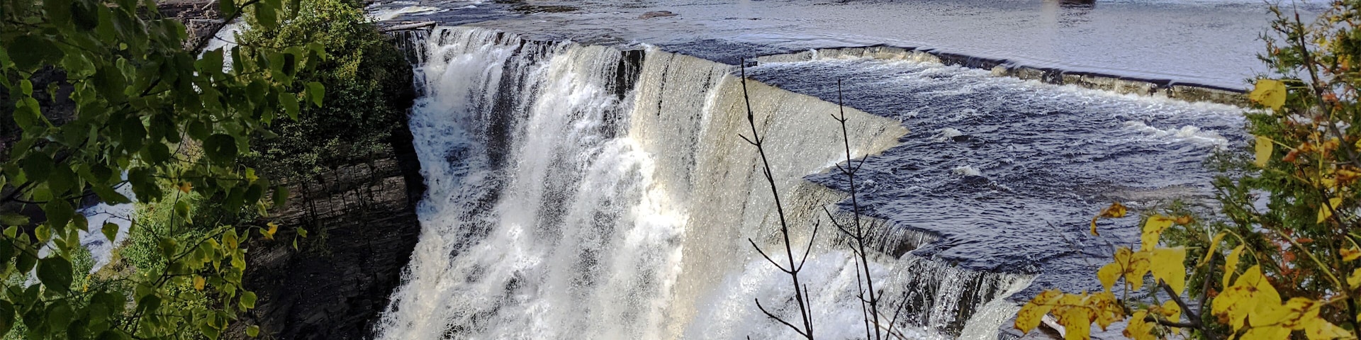 A waterfall, a bridge, and surrounding forest.