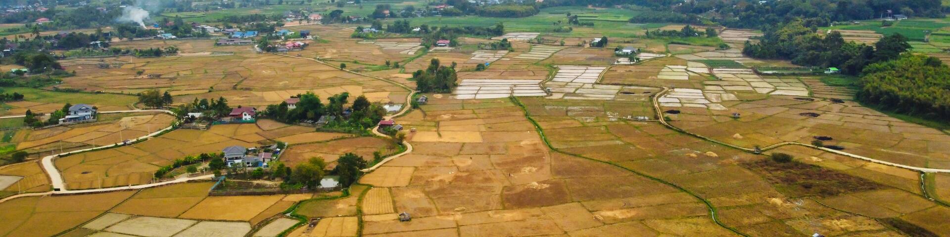 稲刈りが終わった後の田園風景 タイ・ナーン
