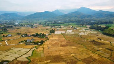 稲刈りが終わった後の田園風景 タイ・ナーン