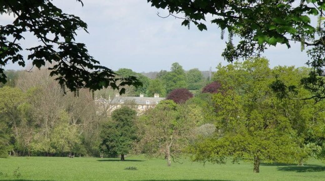 Parkland across to Bulwick Hall