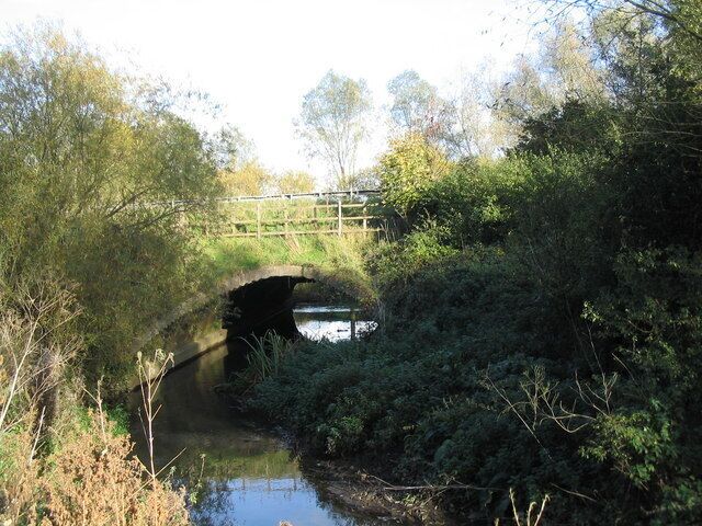 A stone bridge over a narrow waterway surrounded by dense foliage.