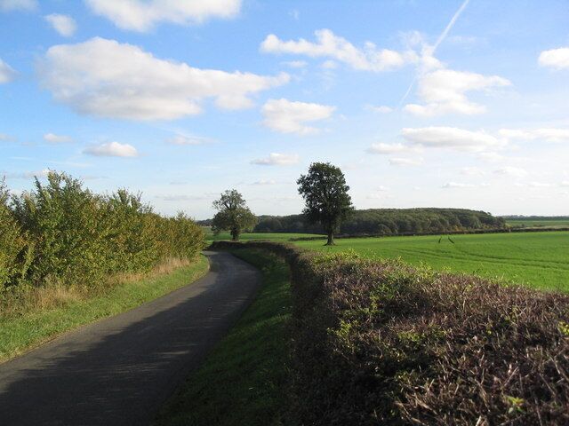Bulwick-Southwick road Looking south-east in the direction of Southwick. The wood in the distance is Rough Close