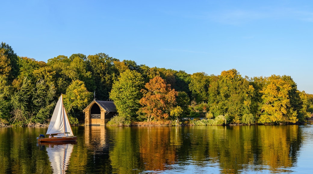 Natural landscape view of forest with autumn leaves in Pfaueninsel island and boat sail at Wannsee lake, Havel river from colour changed grassland on waterside of Westlicher Düppeler forest, Berlin.