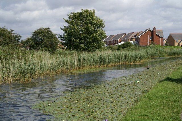 Leeds-Liverpool Canal at Waddicar
