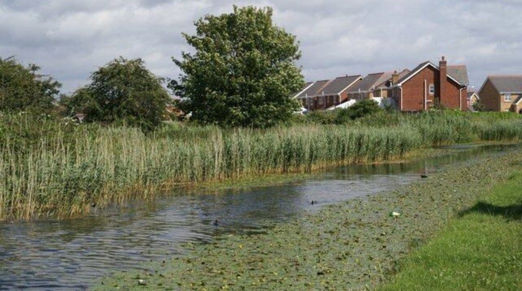 Leeds-Liverpool Canal at Waddicar