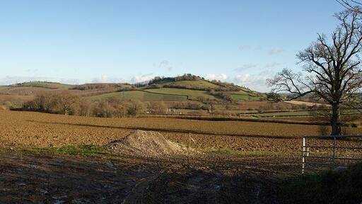 Towards Blackler Barton The farm buildings at Blackler can just be made out in the centre, beyond and to the right of the trees, which are around Blackler Barn. Beyond is Torcorn Hill in SX7866. Taken from the lane near Landscove church.
