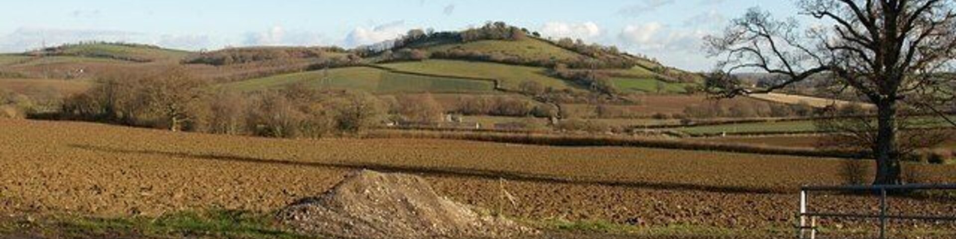 Towards Blackler Barton The farm buildings at Blackler can just be made out in the centre, beyond and to the right of the trees, which are around Blackler Barn. Beyond is Torcorn Hill in SX7866. Taken from the lane near Landscove church.