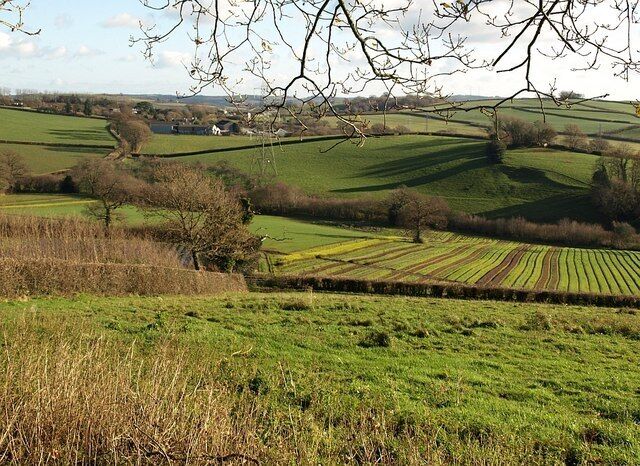 Farmland below Tor Hill. A view across the scene shown in 1074522 - the path can seen crossing the strips in the centre. On the left is Barkingdon Manor.