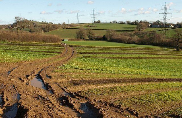 Staverton Footpath 2. The path runs between the crop strips shown in 1074484 (taken from the same place) and 1074462 as it descends the side of Tor Hill towards the lane up to Barkingdon Manor (right).
