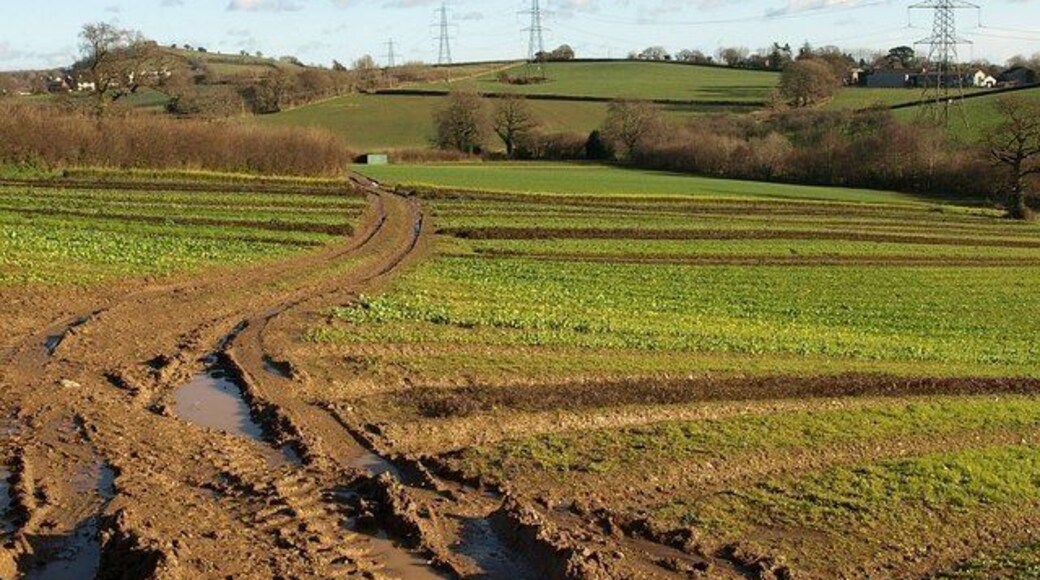 Staverton Footpath 2. The path runs between the crop strips shown in 1074484 (taken from the same place) and 1074462 as it descends the side of Tor Hill towards the lane up to Barkingdon Manor (right).