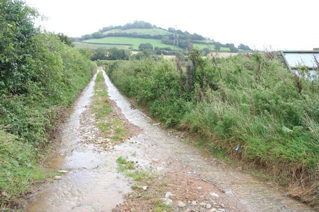 Farm track heading towards Torcorn Hill