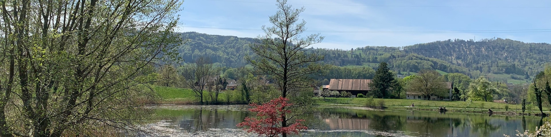 A serene lakeside park with benches, a pond, and a backdrop of hills and buildings.