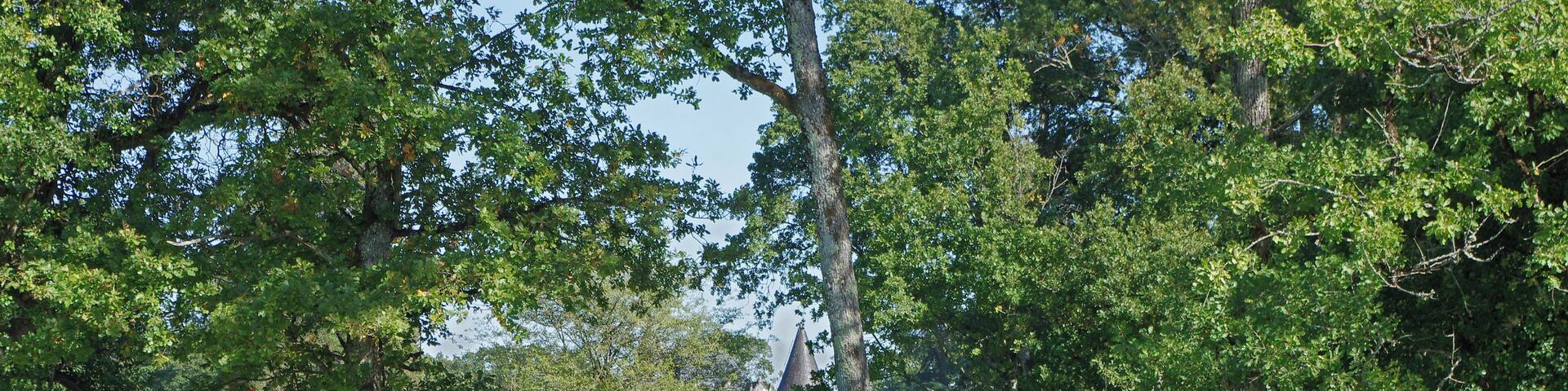 AutrĂšche (Indre-et-Loire) ChĂąteau privĂ© des Hayes. Le chĂąteau fut amĂ©nagĂ© par l'architecte Gustave GuĂ©rin* au 19e siĂšcle. GuĂ©rin (1814-1881) fut Ă©lĂšve Ă l'Ă©cole des Beaux-Arts de 1830 Ă 1833. En 1836, il fut choisi par la ville de Tours comme architecte municipal et dĂ©signĂ© l'annĂ©e suivante comme architecte de la prĂ©fecture, des bĂątiments diocĂ©sains et Ă©difices dĂ©partementaux. Le 20 dĂ©cembre 1848, il fut confirmĂ© dans ses fonctions d'architecte diocĂ©sain de Tours. Il conserva ce poste jusqu'en 1880. En 1874, l'archevĂȘque de Tours intervenait pour lui faire obtenir la lĂ©gion d'honneur. GuĂ©rin a amĂ©nagĂ© le chĂąteau des Hayes Ă AutrĂšche, le chĂąteau de Beauvais Ă Azay-sur-Cher et construit le prieurĂ© de Saint-Venant Ă Luynes et le chĂąteau de Bel-Air Ă Fondettes. Il a construit plusieurs une vingtaine d'Ă©glises dans la rĂ©gion. Il a restaurĂ©s, la cathĂ©drale de Tours, et beaucoup d'Ă©glises.