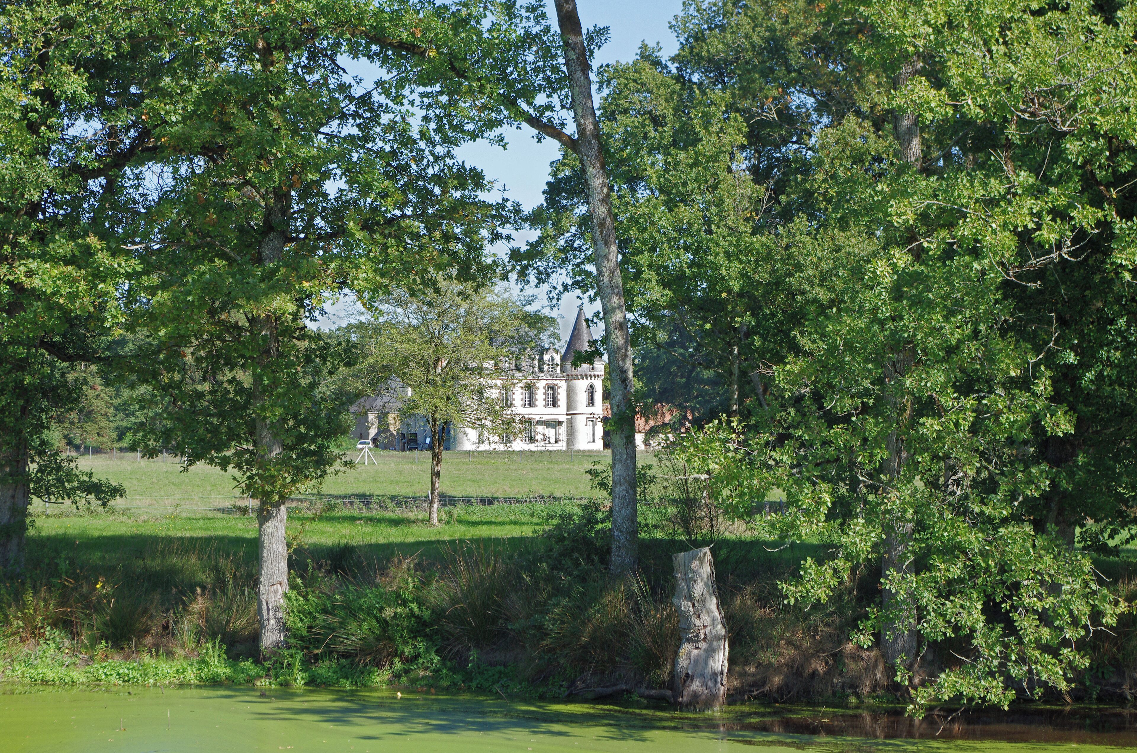 A lush green landscape with a large white building in the background, surrounded by trees and a body of water.