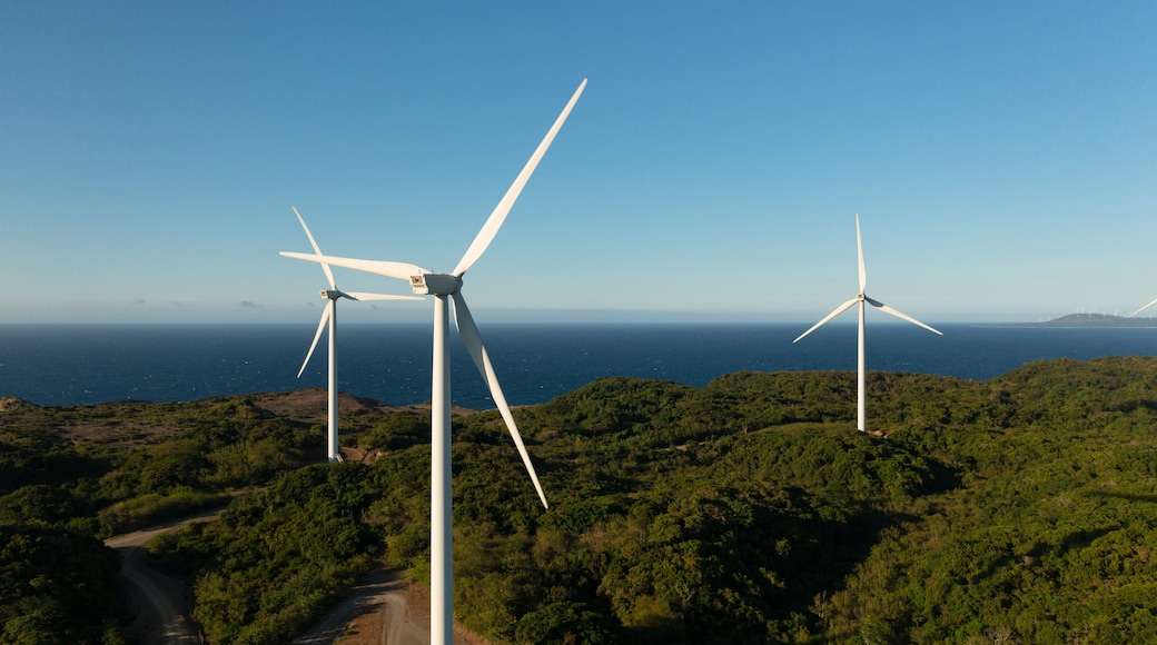 Wind turbines on a coastal landscape with a clear view of the ocean.