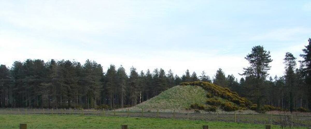 A grassy field with a mound, a road, and a forest in the background.