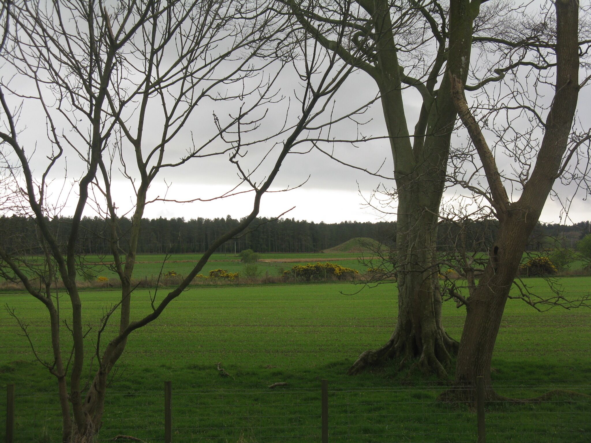Looking south from Dunragit from the eastbound bus stop on the A75, across the fields towards Droughdool Motte.
