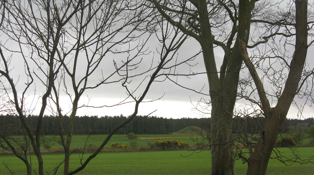 Looking south from Dunragit from the eastbound bus stop on the A75, across the fields towards Droughdool Motte.