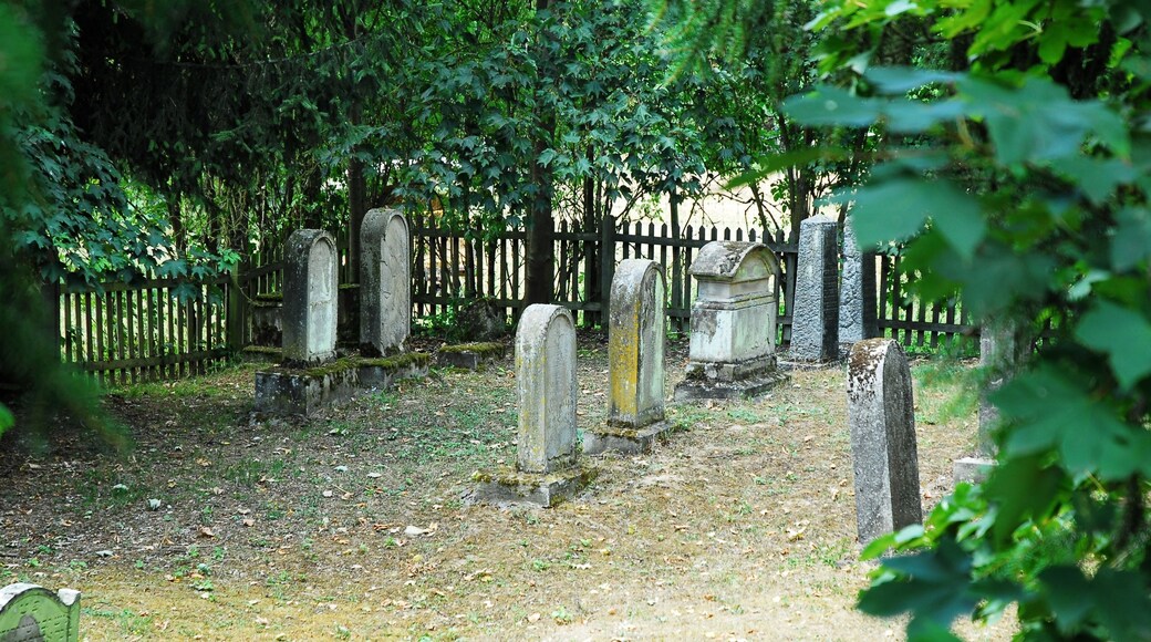 Jüdischer Friedhof in Appenheim, nördlich des Ortes; Flur Im Geschwenn: wohl nach 1840 eröffnet, bis 1940 belegt; 22 Grabmäler von 1847 bis 1933; Detail nördlicher Bereich