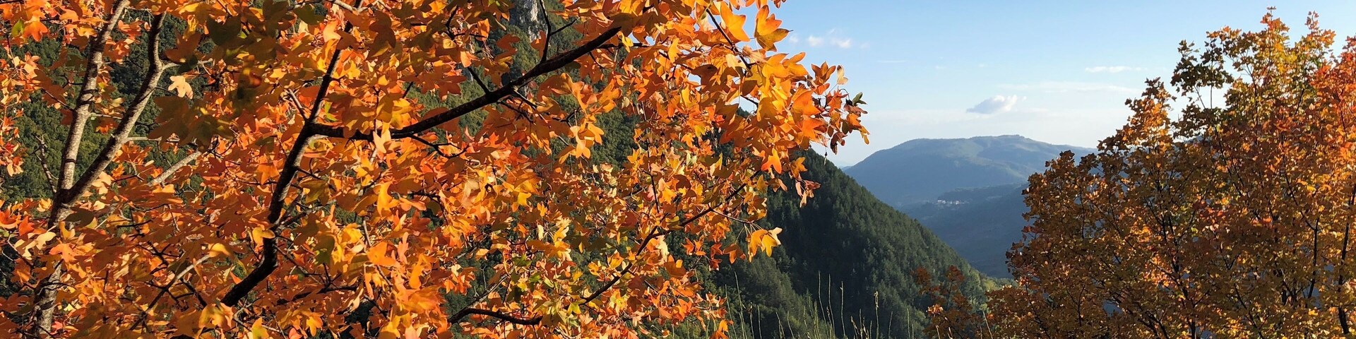 Autumn colours beginning to show