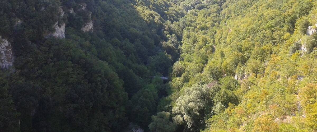 A valley with dense green forests and rocky cliffs.