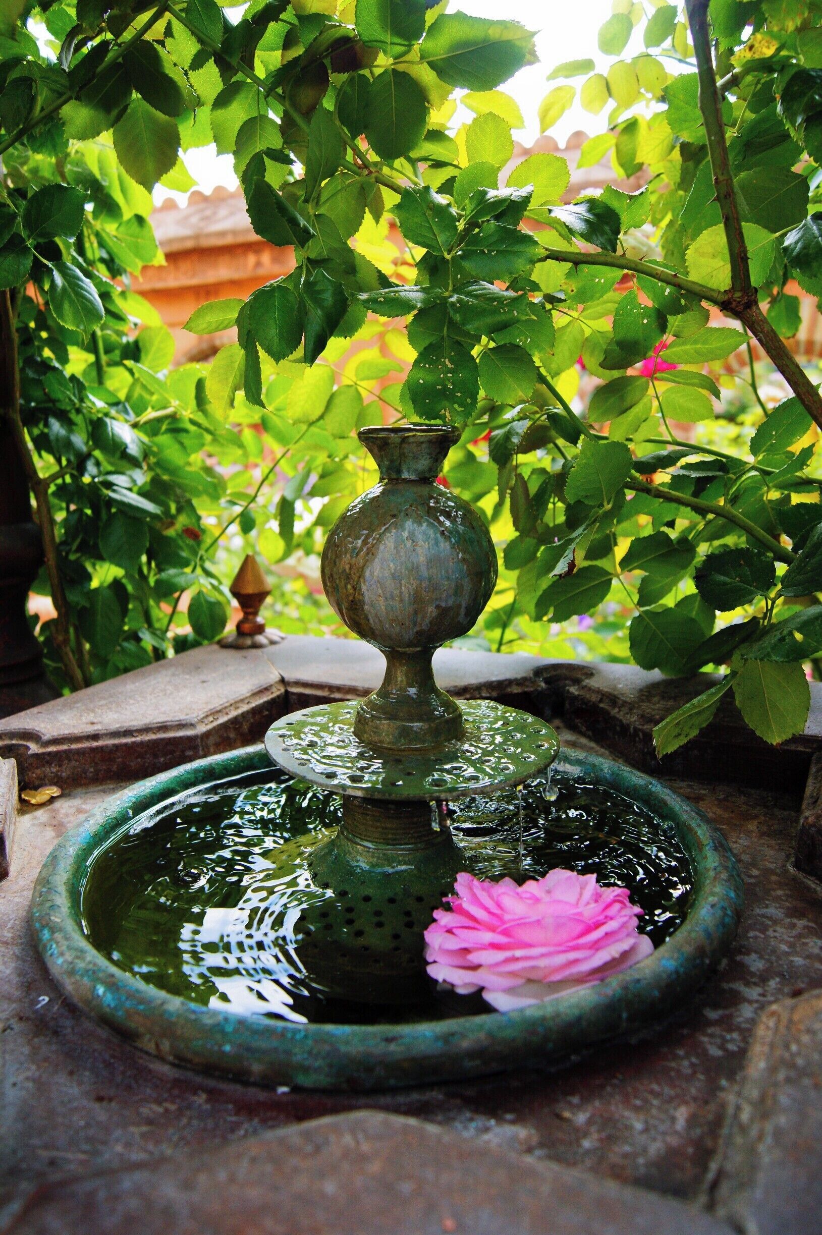 Le Jardin des Secrets