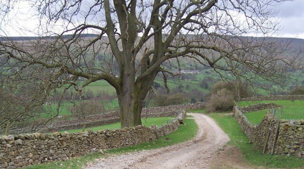 Haw Lane (East) Track descending off the high broad ridge between Wensleydale and Bishopdale on its way to Thoralby
