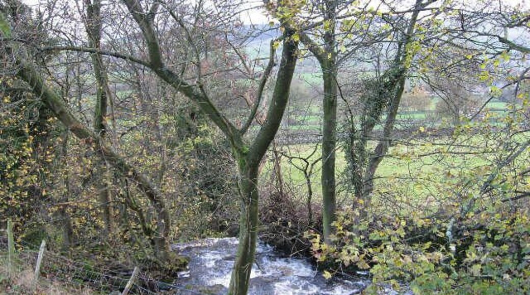 Haw Beck Seen from the road between Thoralby and Aysgarth.