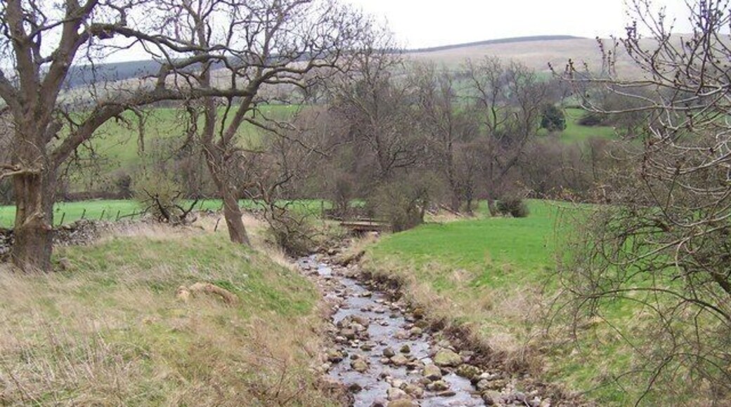 Swinacote Gill This small watercourse as seen from Littleburn Bridge, just before confluence with Bishopdale Beck