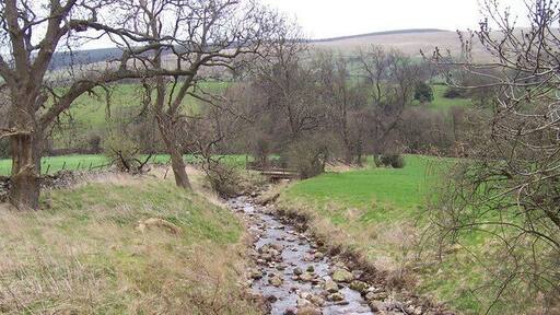 Swinacote Gill This small watercourse as seen from Littleburn Bridge, just before confluence with Bishopdale Beck