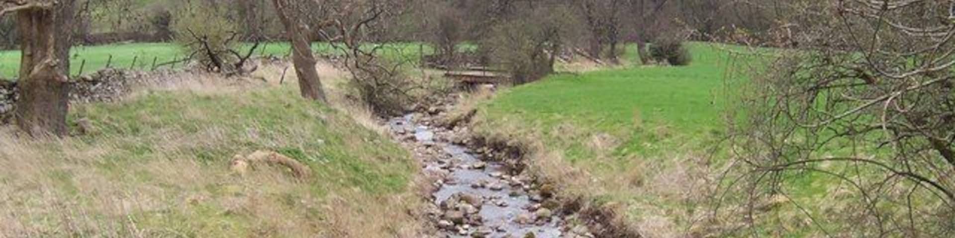 Swinacote Gill This small watercourse as seen from Littleburn Bridge, just before confluence with Bishopdale Beck