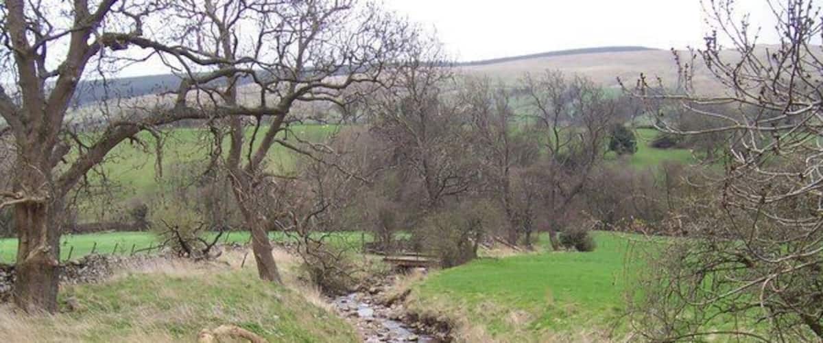 A rocky stream in a rural landscape with trees and hills in the background.