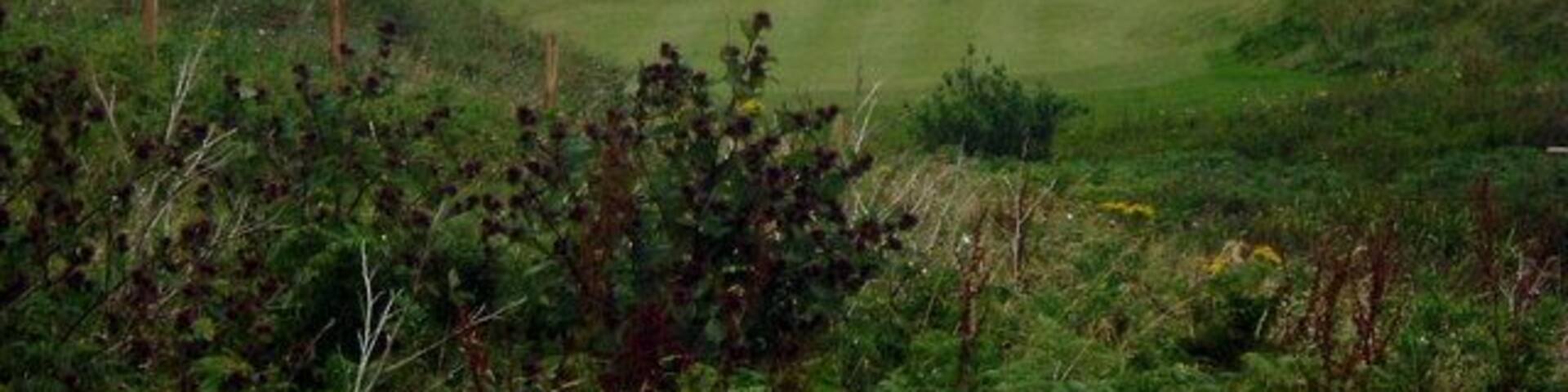 Golfers at Sanside Bay