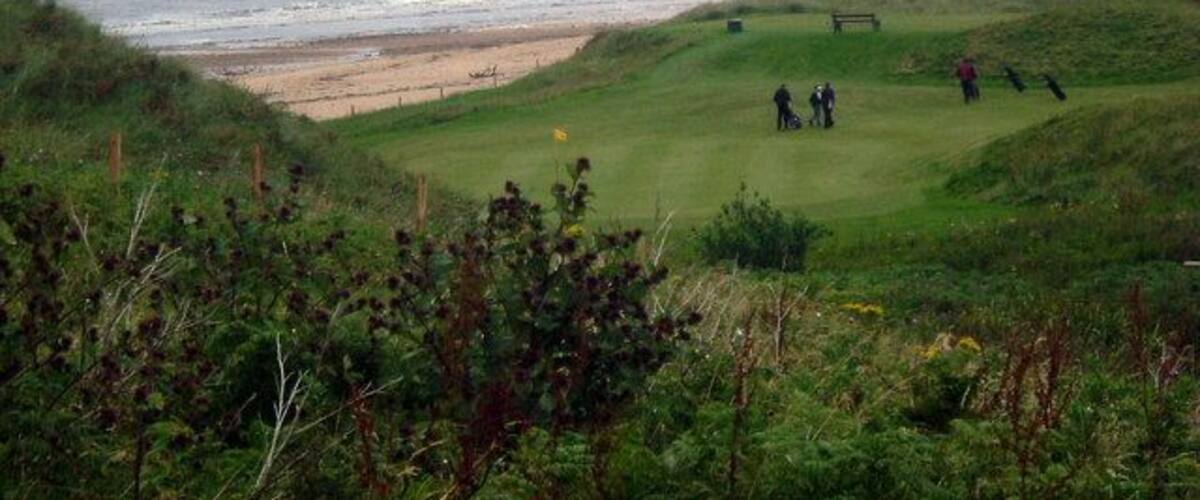 A coastal golf course with a beach in the background.