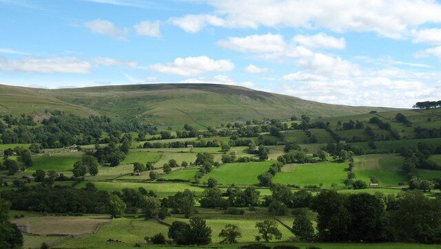 Across Bishopdale from Tomgill Bank The view across the dale from Tomgill Bank towards the lower end of Forelands Rigg which separates Bishopdale from Walden. Note that some field boundaries are hedges rather than the usual drystone walling. Harland Hill rises in the background with the bridleway to Carlton visible as it climbs the flank of Thupton Gill.