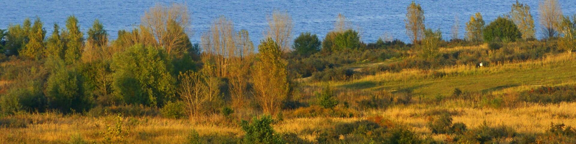 Seeland, Concordiasee