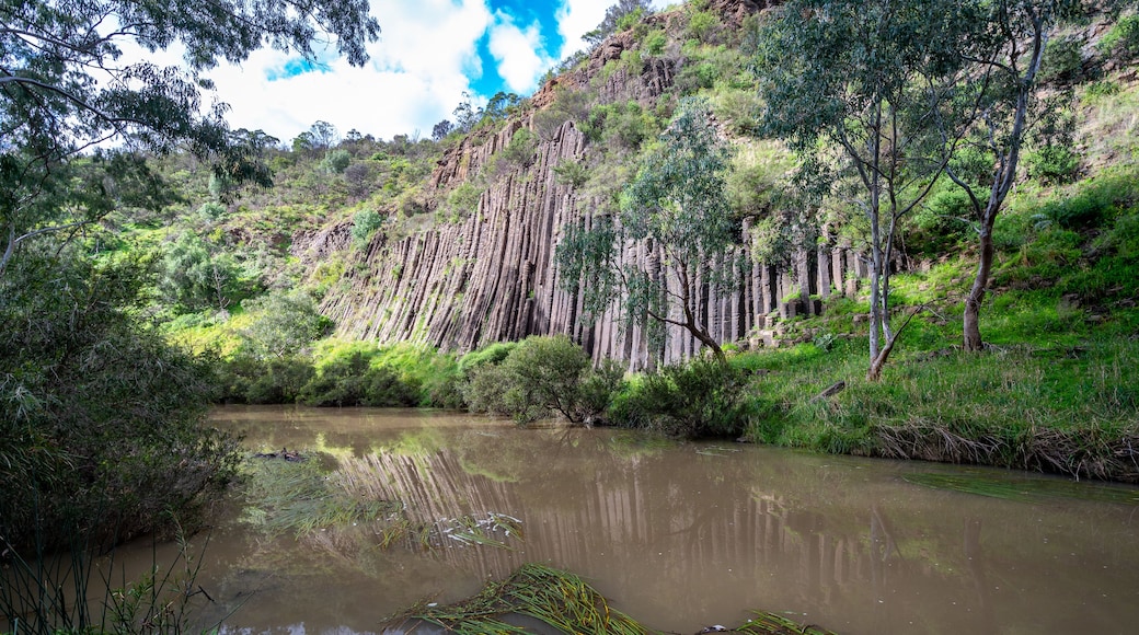 A river with surrounding greenery and a rocky cliff.
