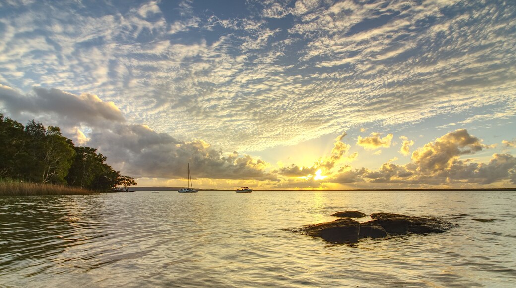 โบรีน พอยต์