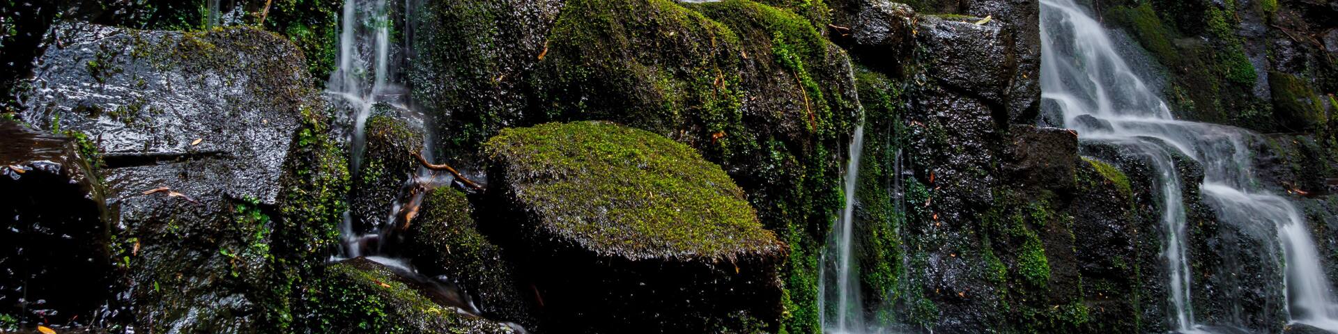From Dinner Plain a short walk to to Carmichael Falls. These falls in the photo are a little prelude to the main falls.
