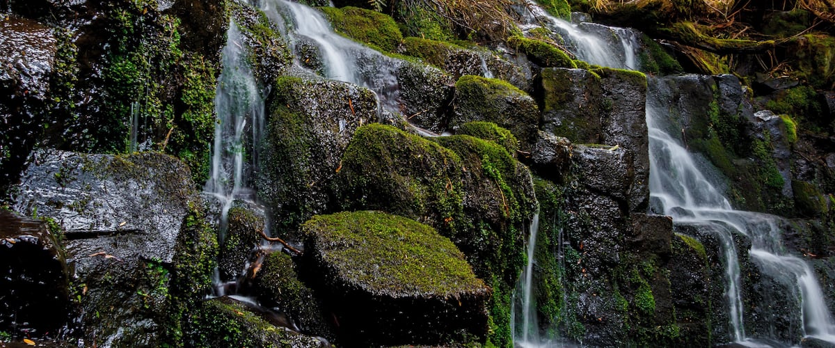 A multi-tiered waterfall surrounded by moss-covered rocks and ferns.