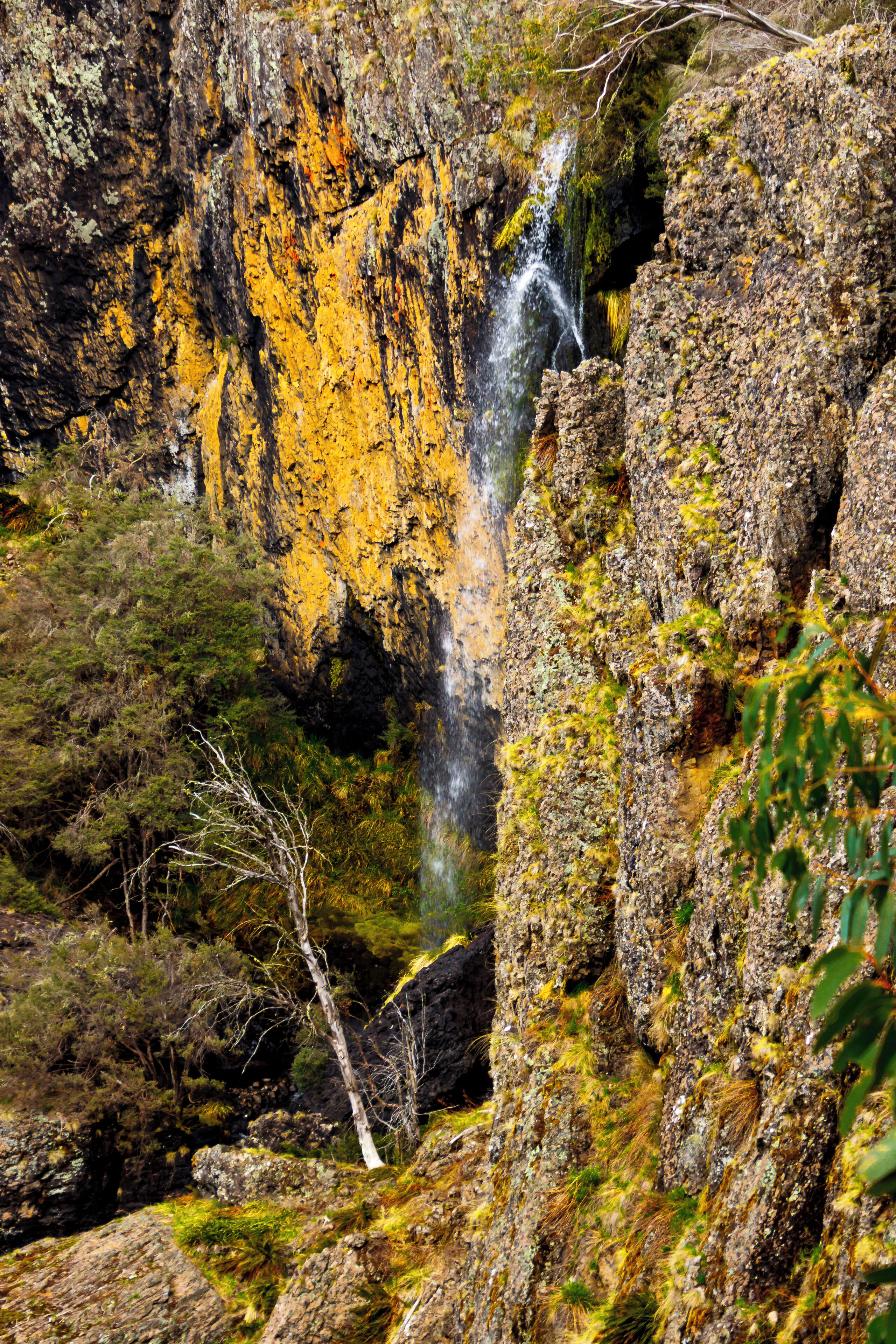 700m walk from Dinner plain to the viewing platform. The falls generally don't have much water going over them but a pretty enough sight.