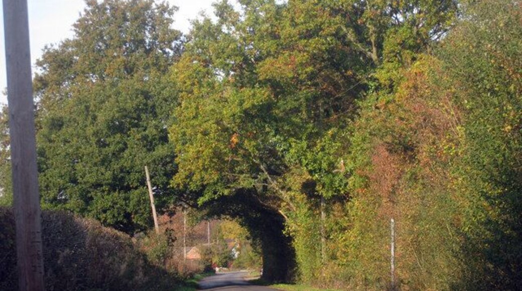 Church Lane Heading into Shadoxhurst.