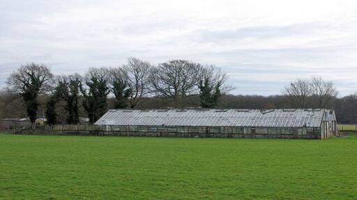 Disused Greenhouses, Bromley Green The right hand end juts into TQ9936.