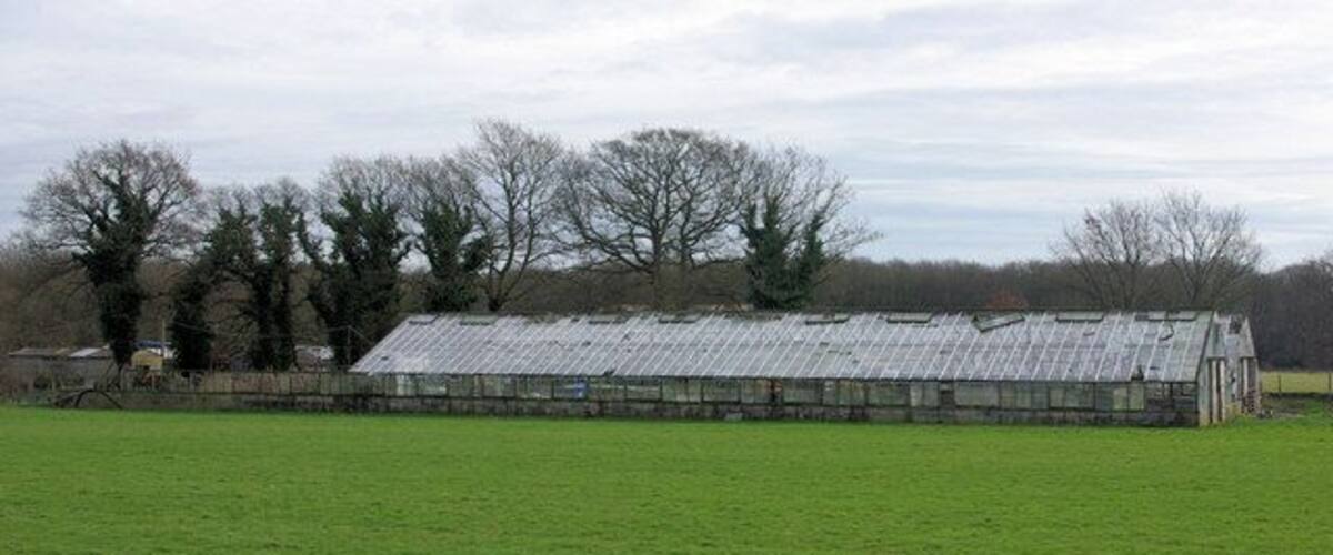 A large greenhouse in a green field with trees in the background.